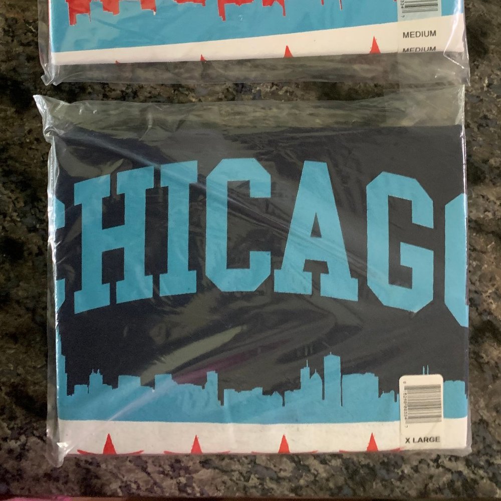 Gildan Chicago Flag T-Shirt